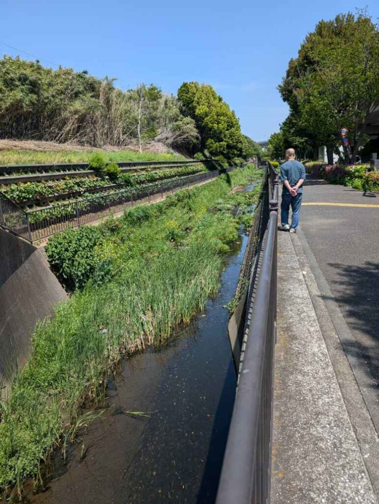 鳥山川のせせらぎ