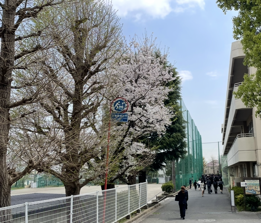 🌸 入学式と地域の見守り活動
