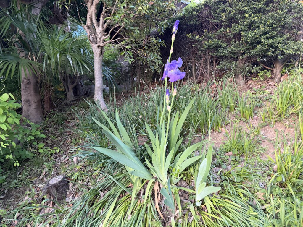 ４月２回目の防犯パトロールを実施しました!